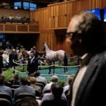 Photos: Inside the Fasig Tipton New York Bred Yearlings sale