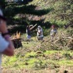 Emotions soar amid sudden, unfenced tree clearance in Lincoln Park