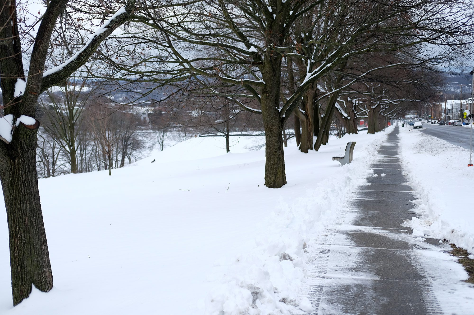 Safe sidewalks make for a better Albany