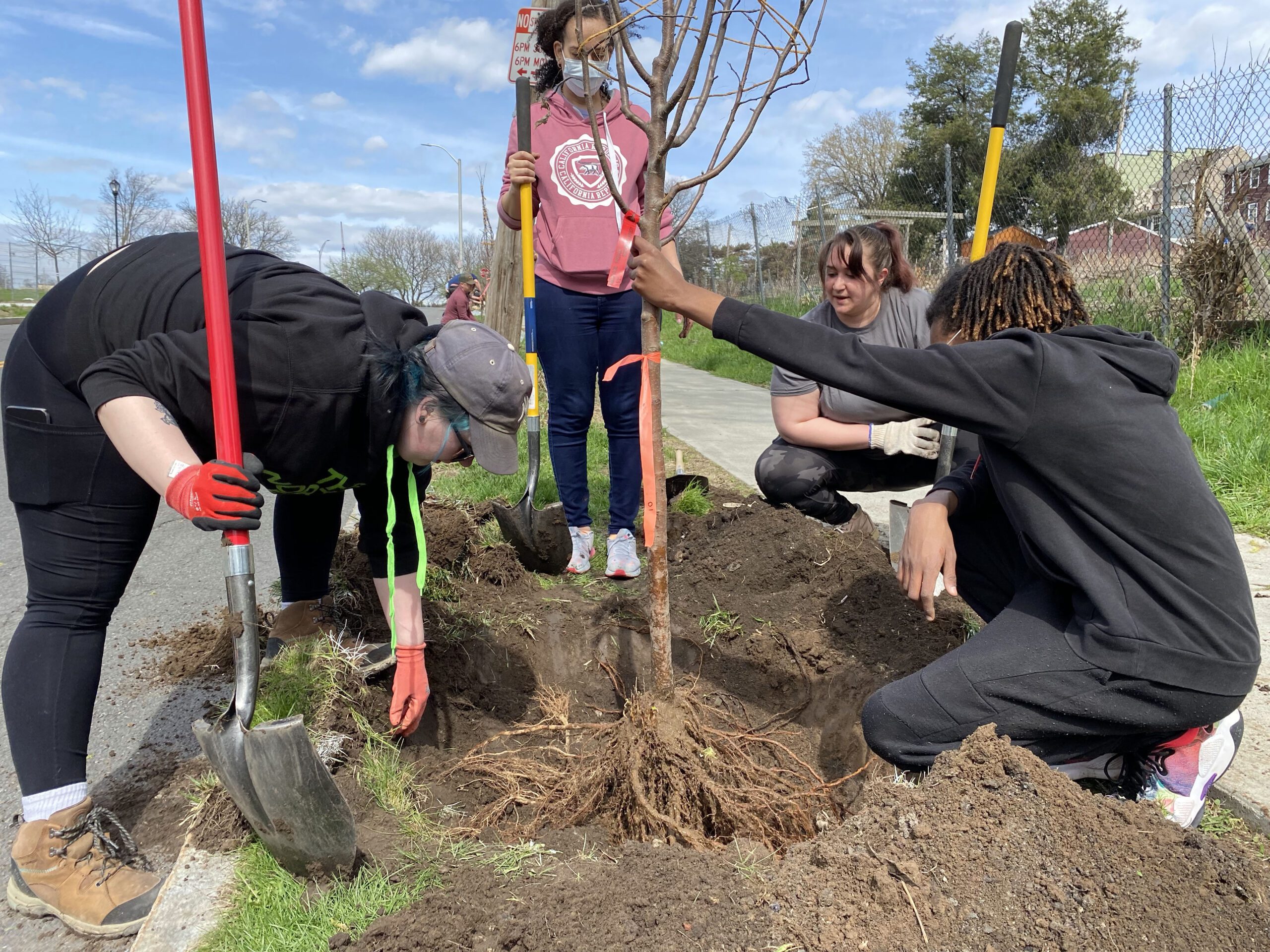 Creating an edible forest in the South End